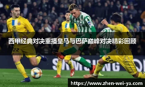 lehu乐虎
